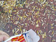 -兔途体检(十里堡青年路店)