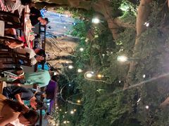 -杭州开元森泊度假乐园