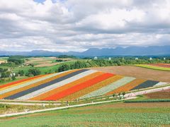 -富田农场