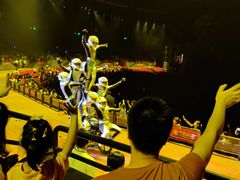 -珠海横琴长隆《卡卡虎奇遇记》