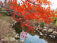 -白马涧龙池景区
