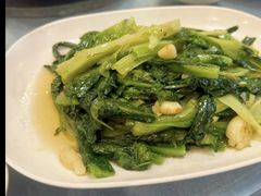 -鲤鱼塘农家山庄