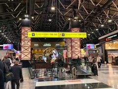 -谢列梅捷沃国际机场