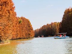 -上海海湾国家森林公园