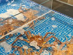 -江户前日本料理(瑞诗酒店店)