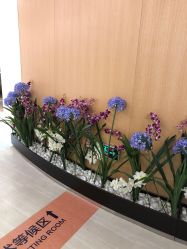 -天津伊美尔医疗整形美容专科医院