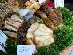 -蘑界·野生菌火锅(深业上城店)