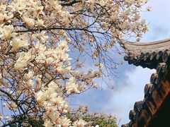 -龙华寺