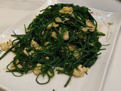-靖远尕六美味羊羔肉