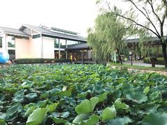 -绍兴鉴湖君澜大酒店