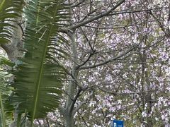 -怡海公园(桂城街道)