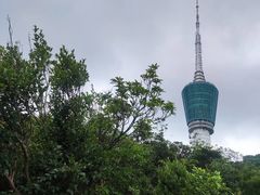 -梧桐山风景名胜区