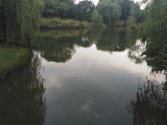 -梁鸿国家湿地公园