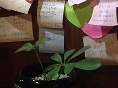 iphone_upload_pic-西右咖啡(左岸风度店)