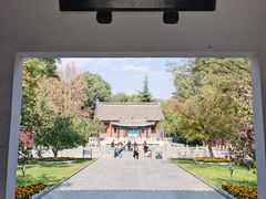 -百脉泉景区