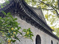 -灵谷景区