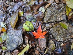 -洛阳白云山景区