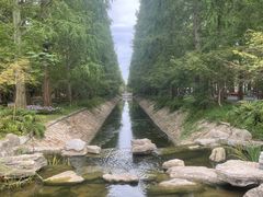 -东平国家森林公园