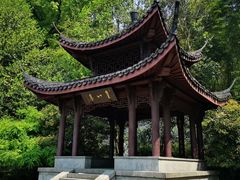 -西湖风景区十里琅珰-五云山
