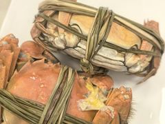 -红鼎斋酸菜鱼(蒋家桥小区店)