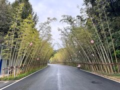 -婺源月亮湾