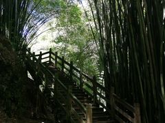 -凤栖山