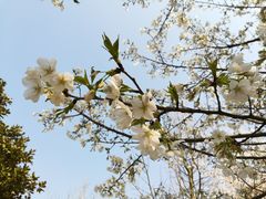 -江南大学(蠡湖校区)