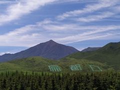 -扁都口生态休闲旅游区