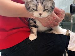 -PETKIT 小佩宠物·低压洗护·美容·寄养(安远店)