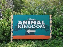 -奥兰多迪士尼动物王国乐园