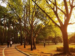 -荔香公园