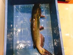 -鱼酷活鱼烤鱼(恒隆广场店)