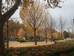 -中国石油大学（北京）(北京西校区)