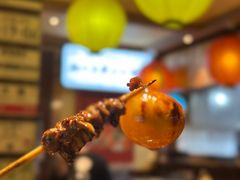 -鸟鹏烧鸟居酒屋(熙龙湾店)