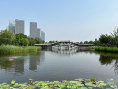 -西海子公园
