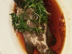 清蒸桂花鱼-聚缘海鲜酒家(厚街店)