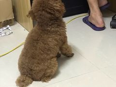 -蛇平饭店(明园路店)