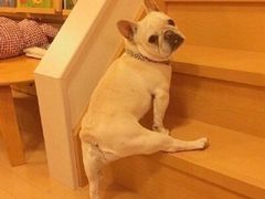 -赛百味SUBWAY(星摩尔店)