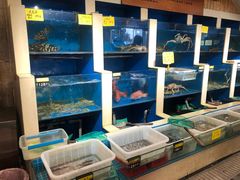 水产区-鹰龙海畔度假酒店(咸祥店)