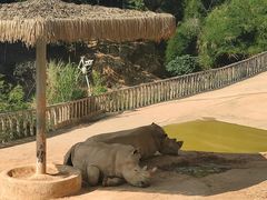 -泉州海丝野生动物世界