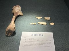 -大连自然博物馆