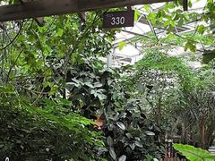 -金稼园·金平湖农家菜
