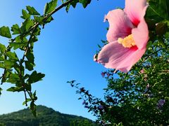 -北京宽沟会议中心