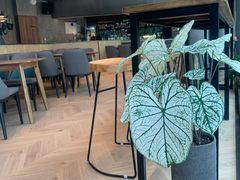 -青麦家·融合餐厅(江岛智立方店)