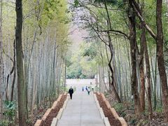 -青龙山国家森林公园