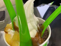 -Salud撒露欧洲冻酸奶(蓝色港湾店)