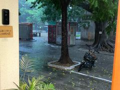 -花间烘焙BLossom Bakery