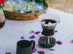 -普洱太阳河森林公园
