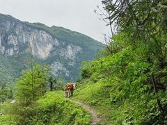 -鹿院坪生态旅游景区