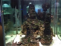 -太平洋海底世界